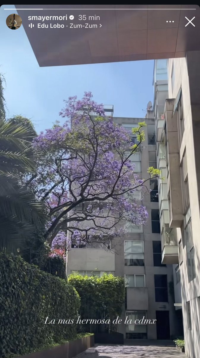 CandyCandy tweet media