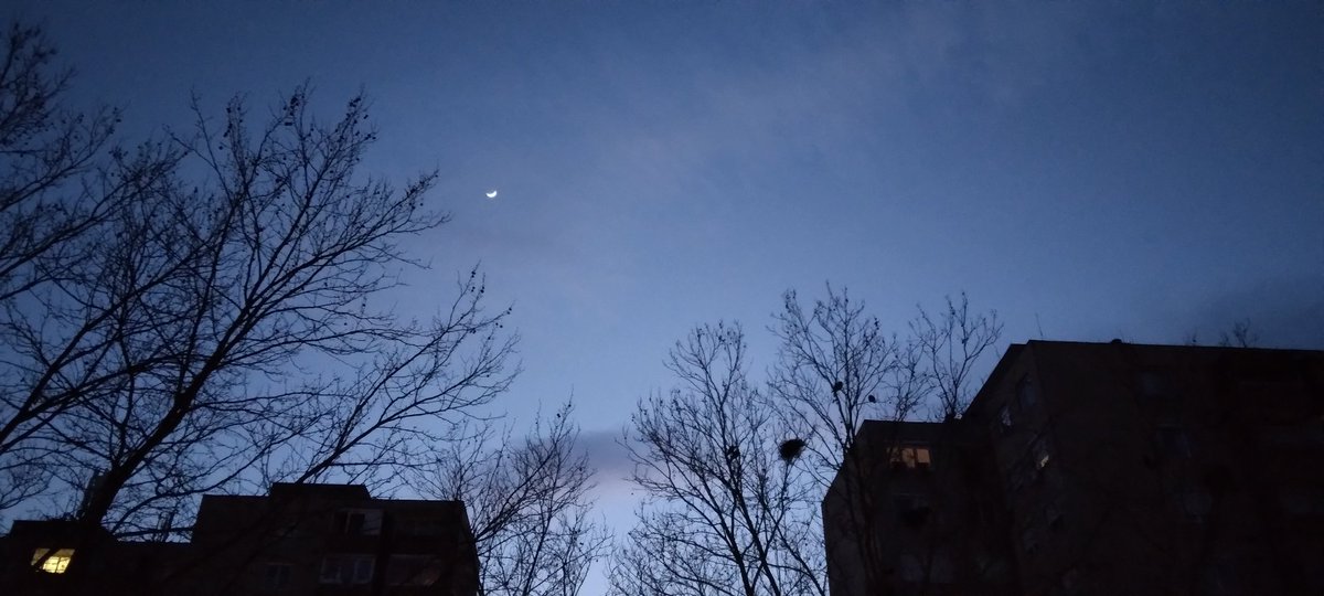 András Garami tweet media