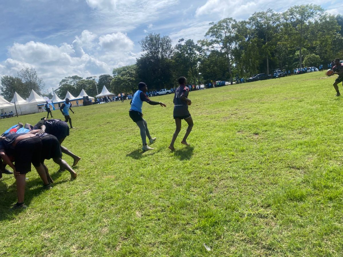 TooroLionsRugby tweet media