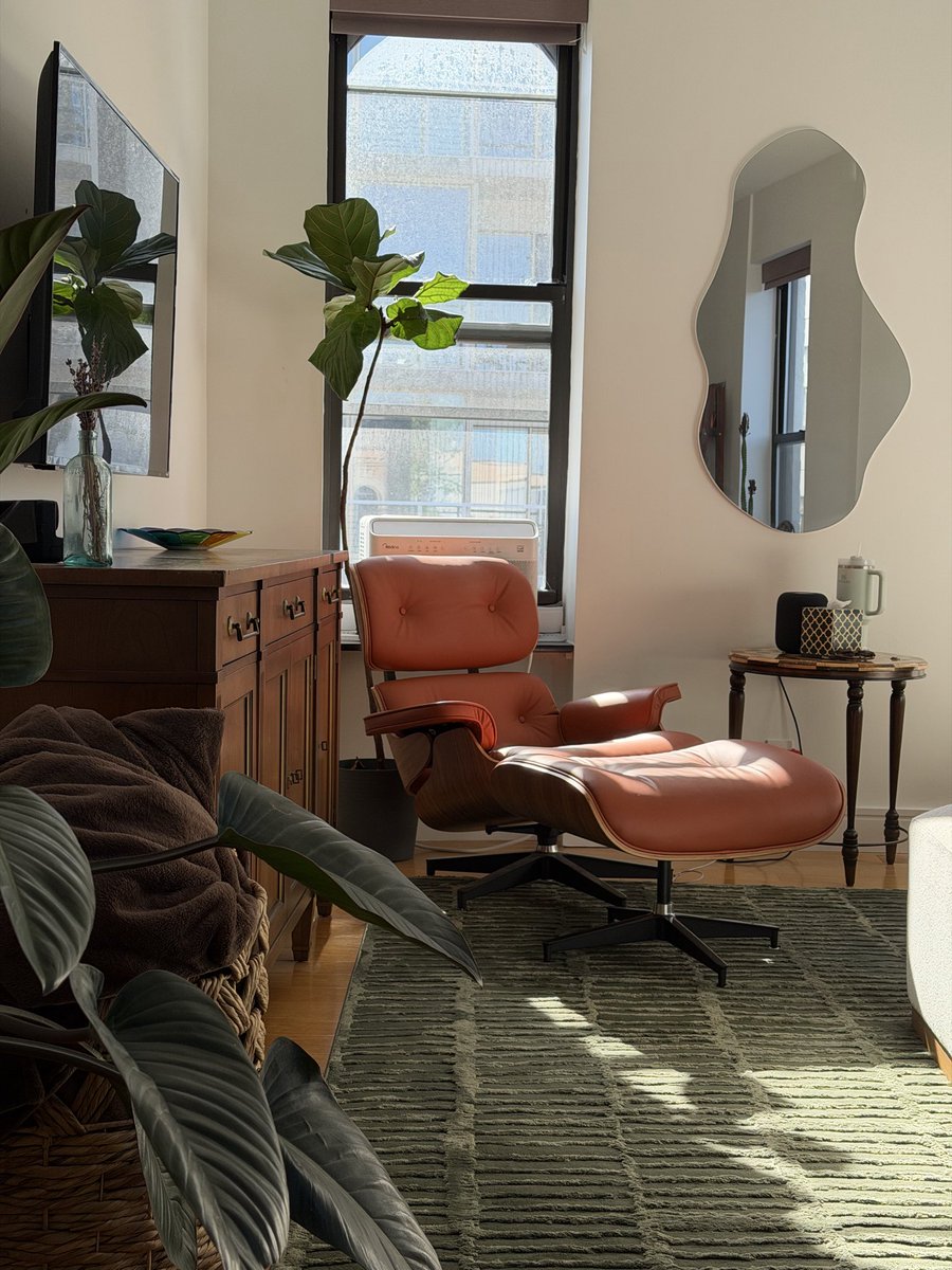 Shane Levine tweet media