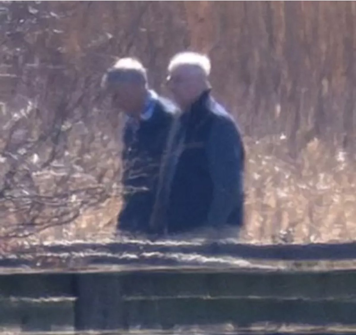 Coyote Fan tweet media