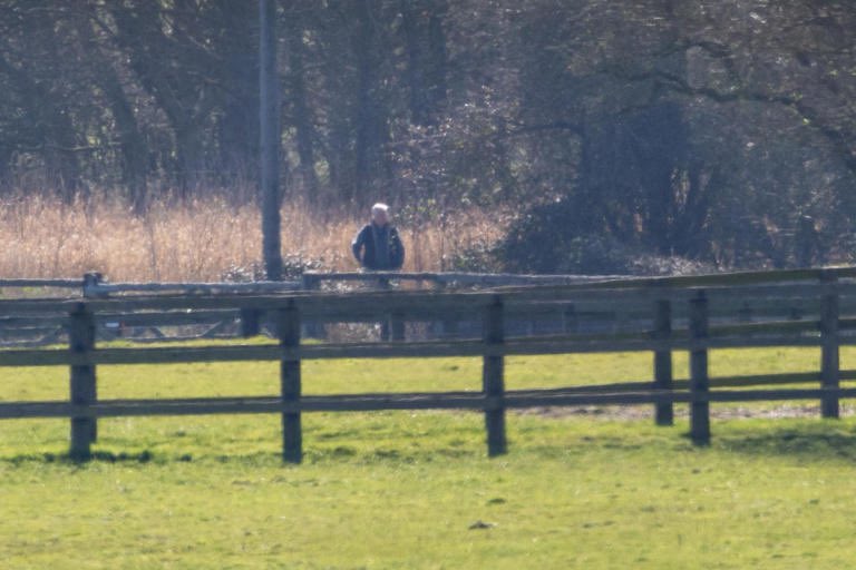 Coyote Fan tweet media