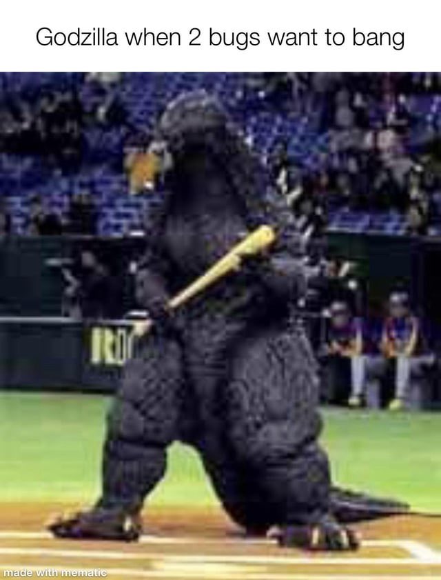 Mr. Goji tweet media