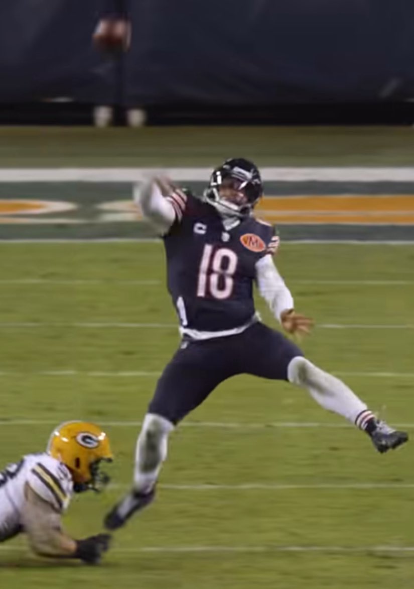 Sarah🐻⬇️ tweet media