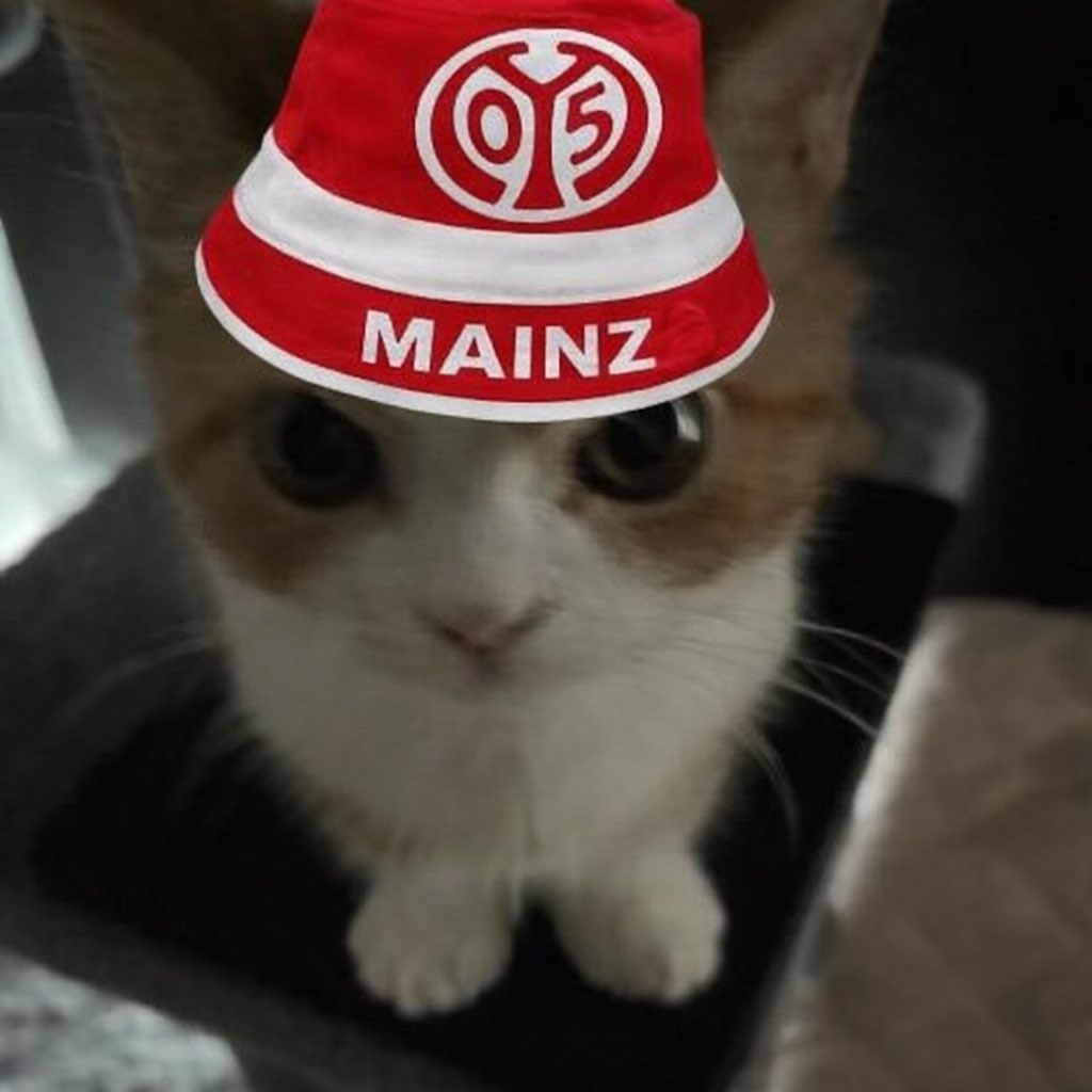 Simon | EuropaRelegationsSZN tweet media