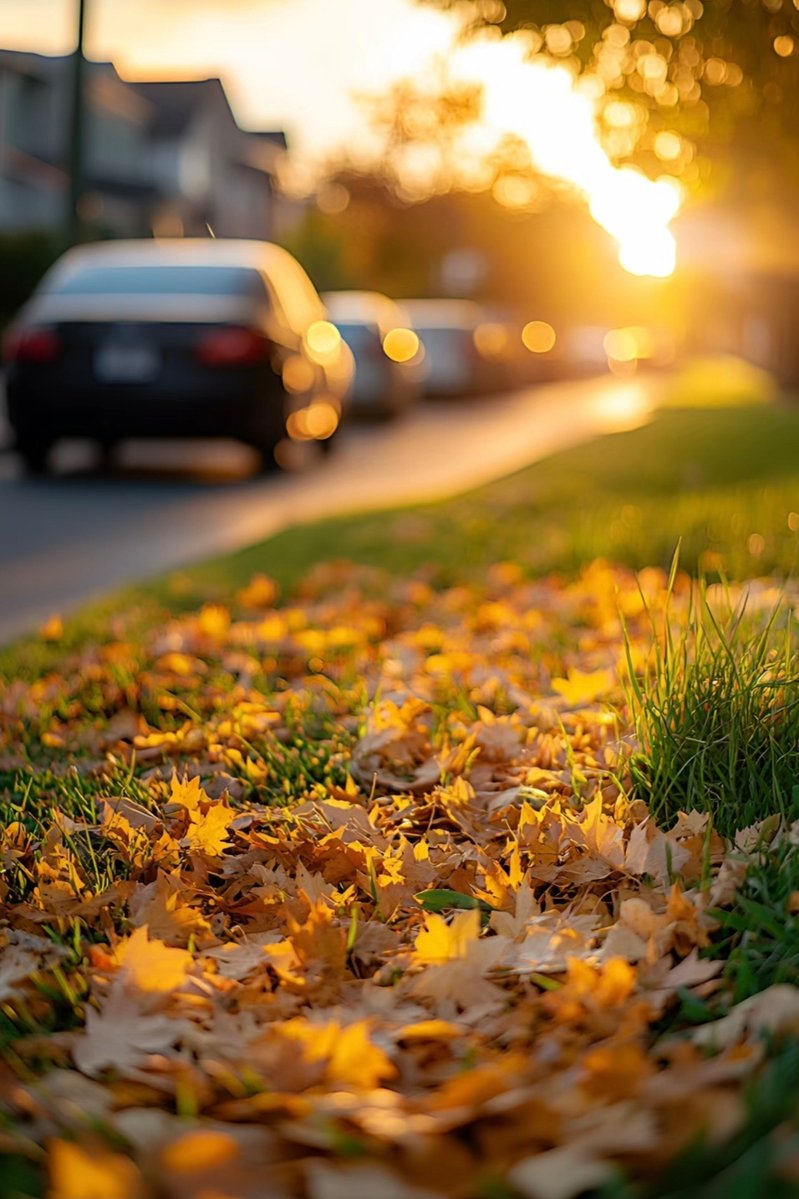 Omar Castillo tweet media