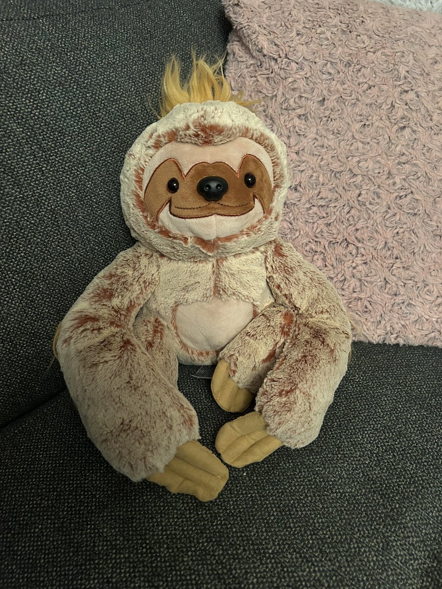 Drottningen av sengångare 🦥 tweet media