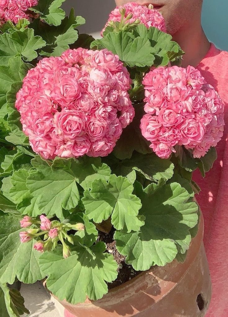 La vie est belle tweet media