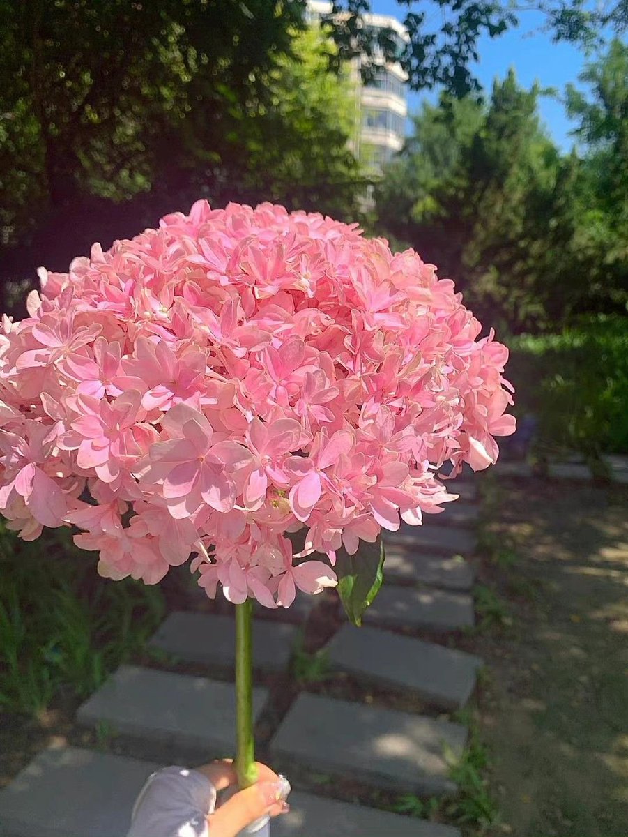 La vie est belle tweet media