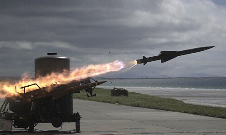 Irish Ranger (Sevvy) tweet media