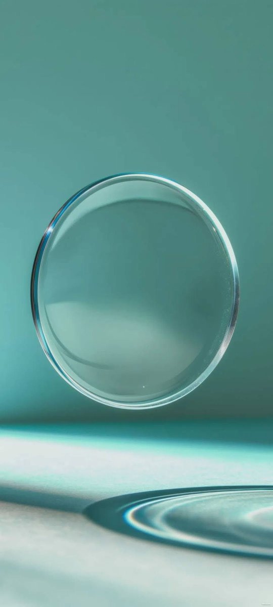 HDخلفيات 🖼 tweet media