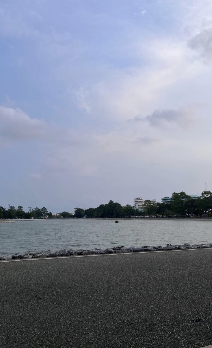 yamomookya tweet media