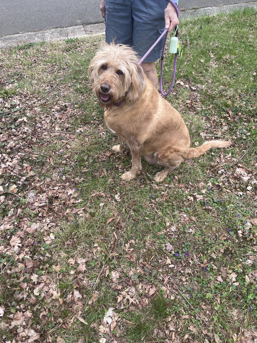 Freebo Jones tweet media