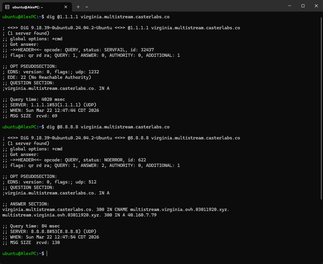 Casterlabs tweet media