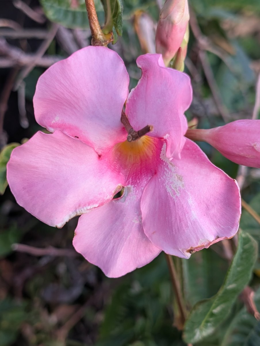 STEVEN T. E@STER tweet media