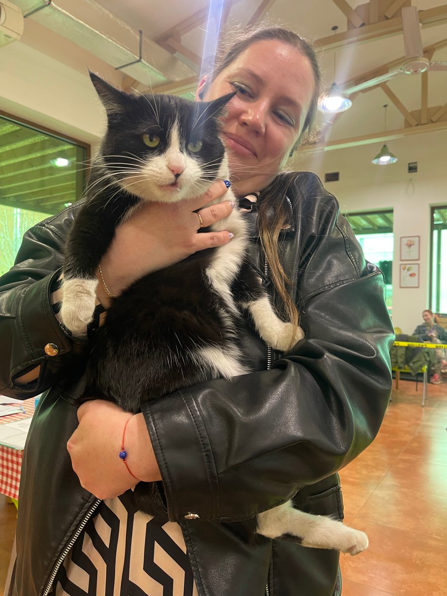 equus.am tweet media