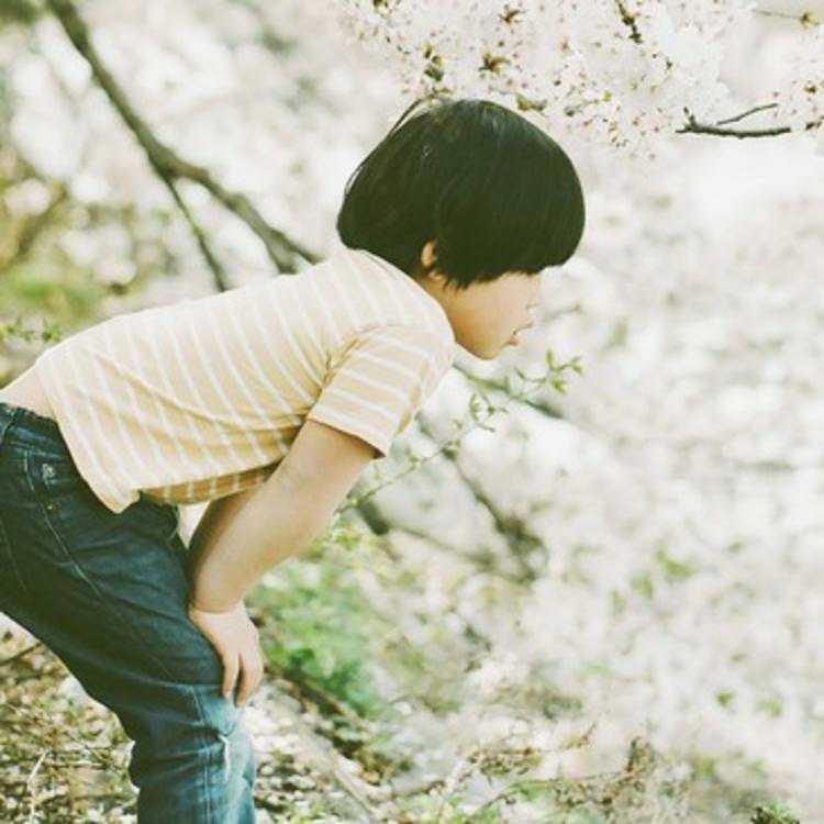 Opentensor News tweet media