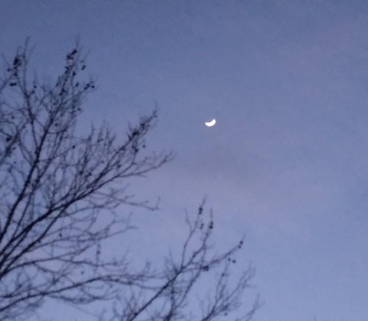 András Garami tweet media