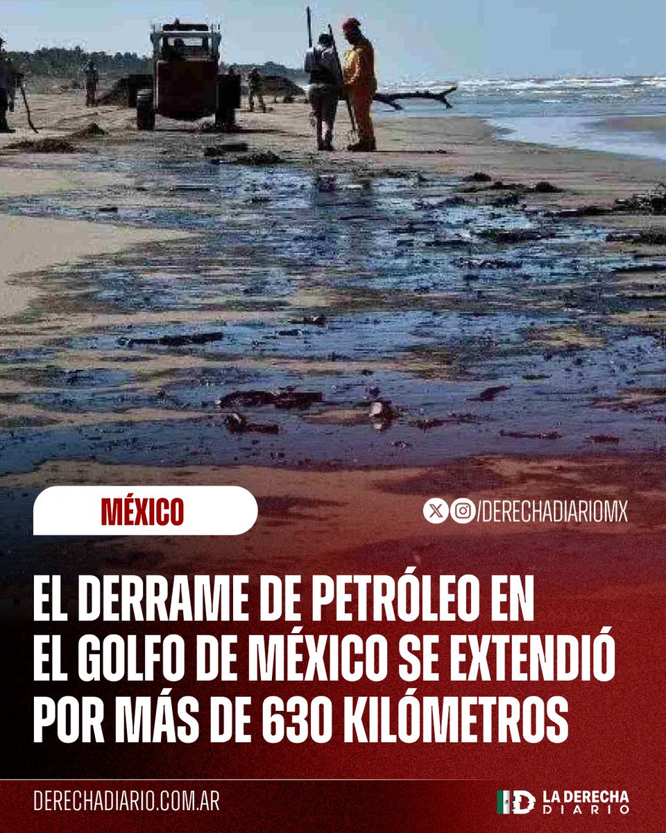 La Derecha Diario México tweet media