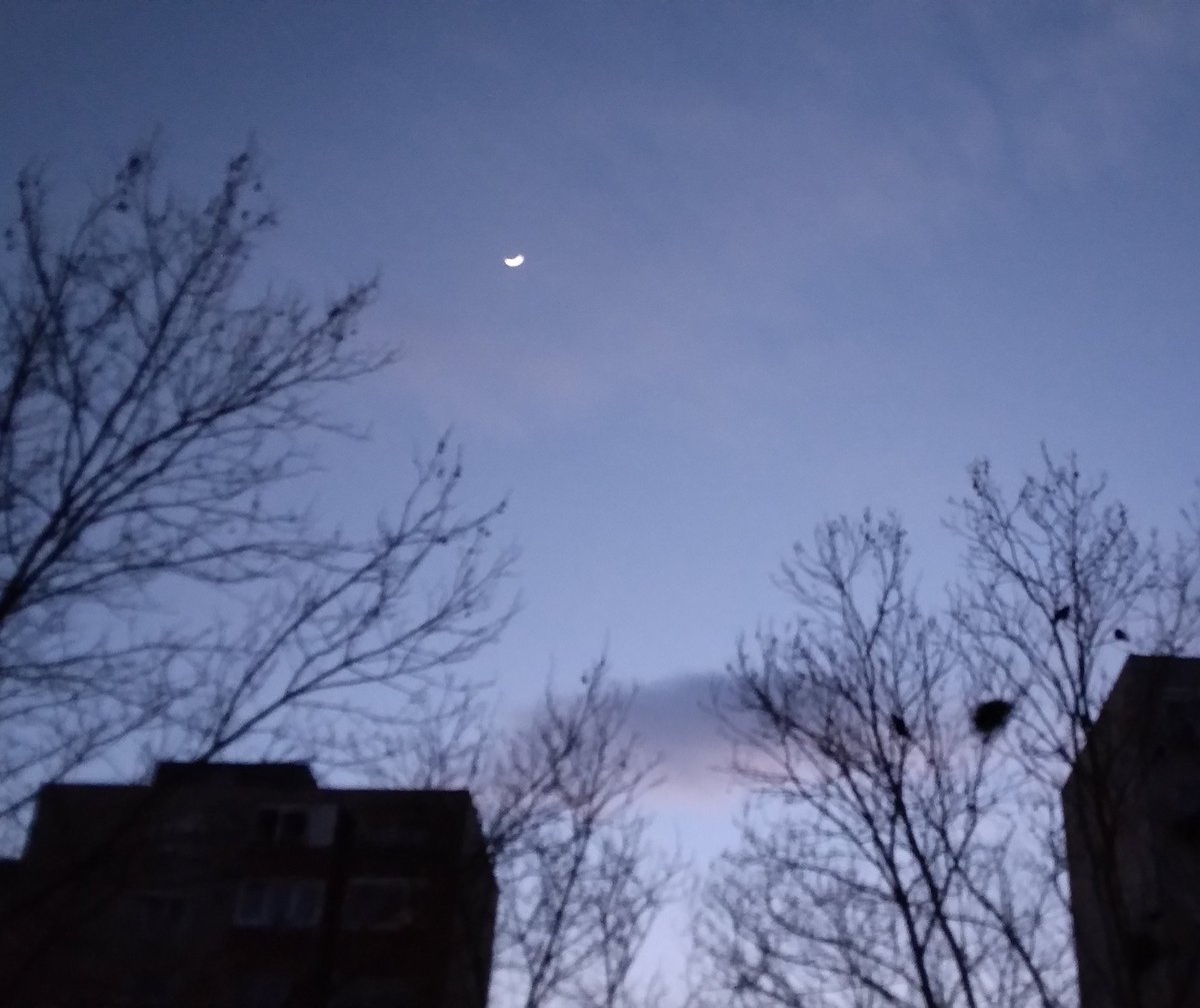 András Garami tweet media