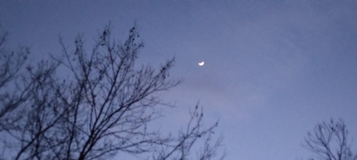 András Garami tweet media