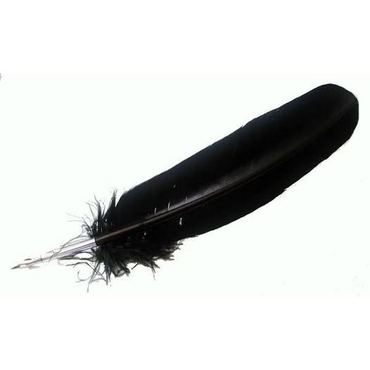 LASKA SANDY DAWN ALEX PASCALE PADLO ALPHA. A. tweet media