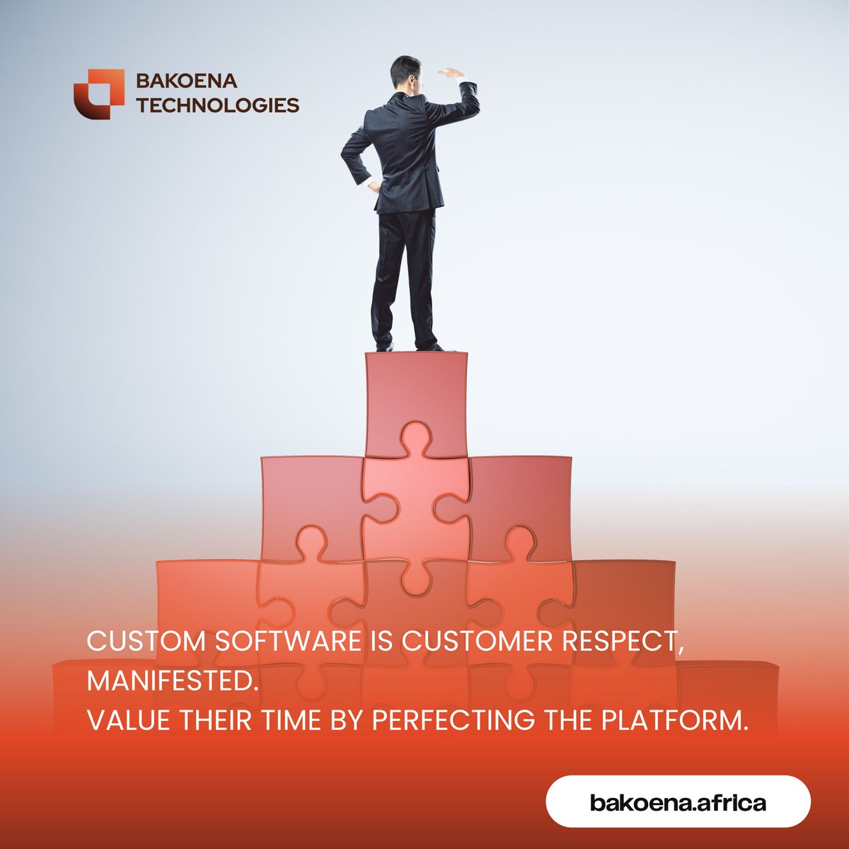 Bakoena Technologies tweet media