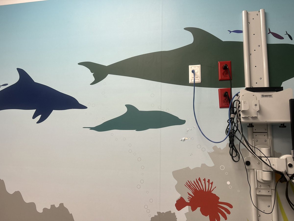 kara 🪻🚦 tweet media