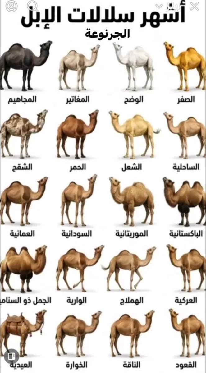 د. عبدالعزيز الزهراني🇸🇦 tweet media