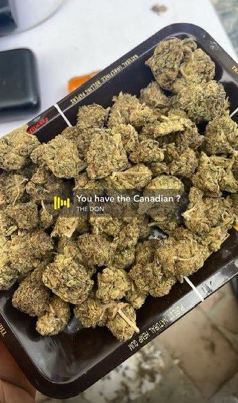 𝑫𝒂𝒅𝒅𝒚’𝒔 𝑮𝒊𝒓𝒍°❀⋆.ೃ࿔*:･ tweet media