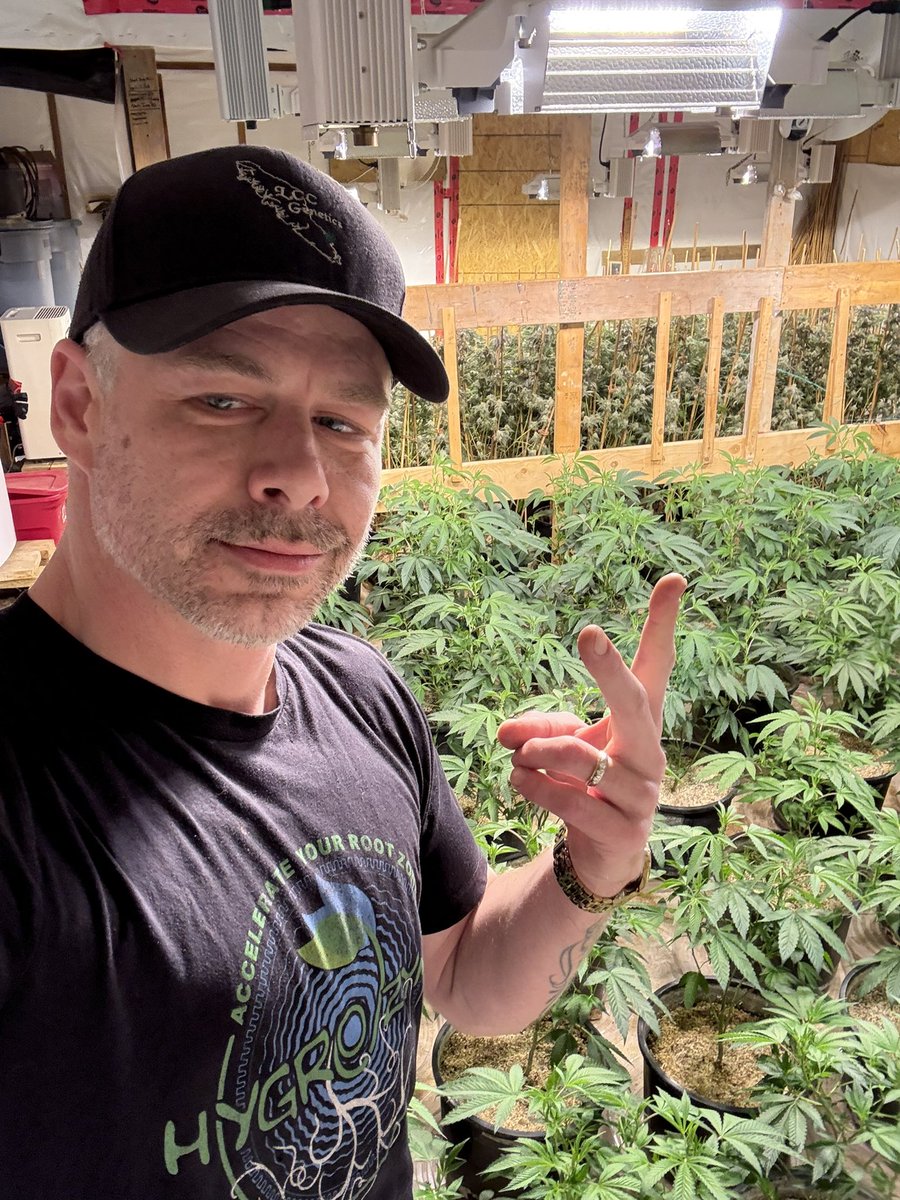 LCC Karl tweet media