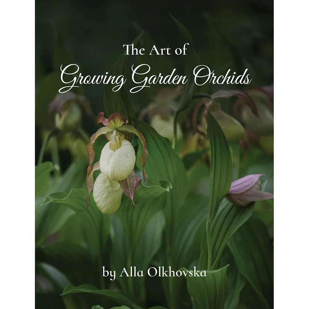 Charly M. tweet media