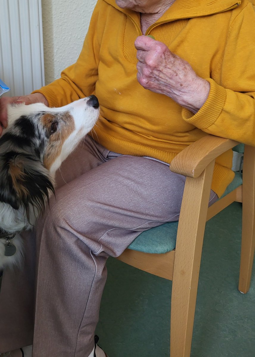 VidaGlitzerflausch tweet media