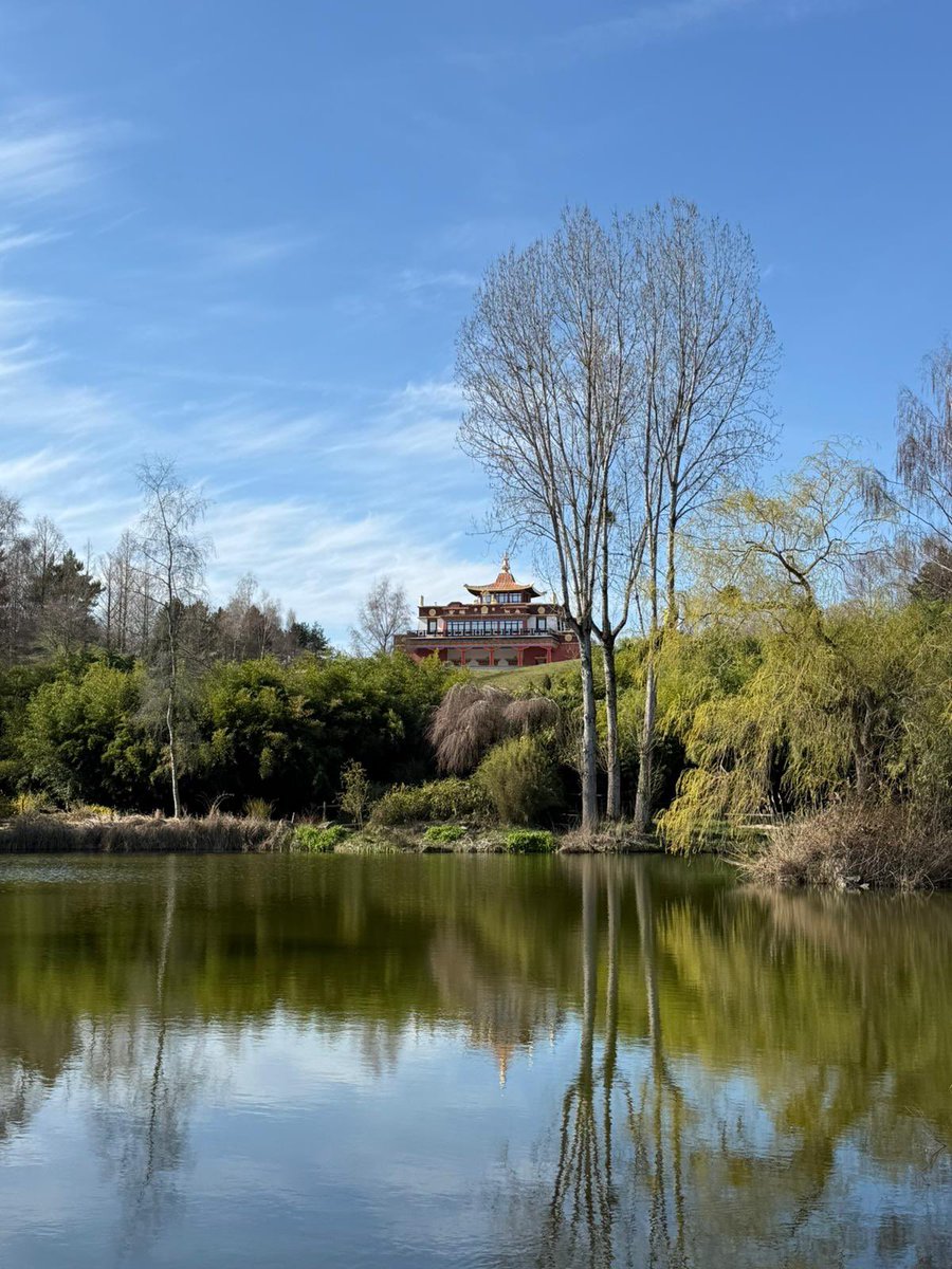 Aurélien 🦁 tweet media