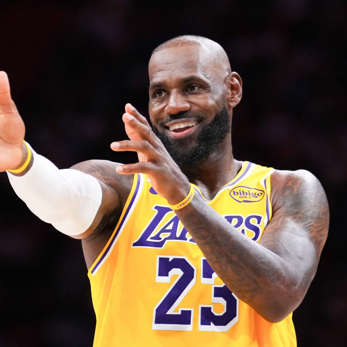 Legion Hoops tweet media