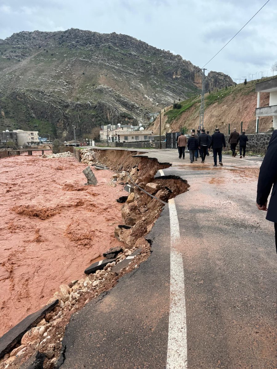 Ekolojisirnak tweet media