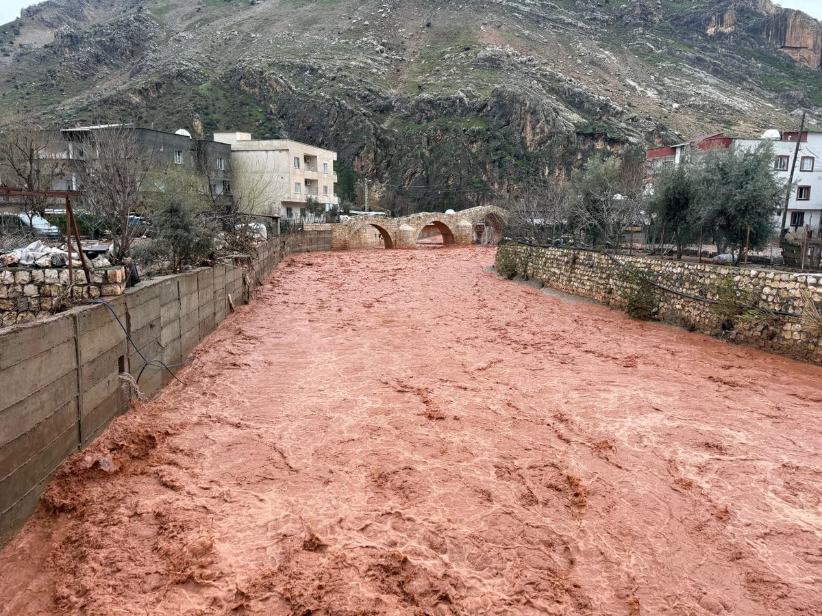 Ekolojisirnak tweet media