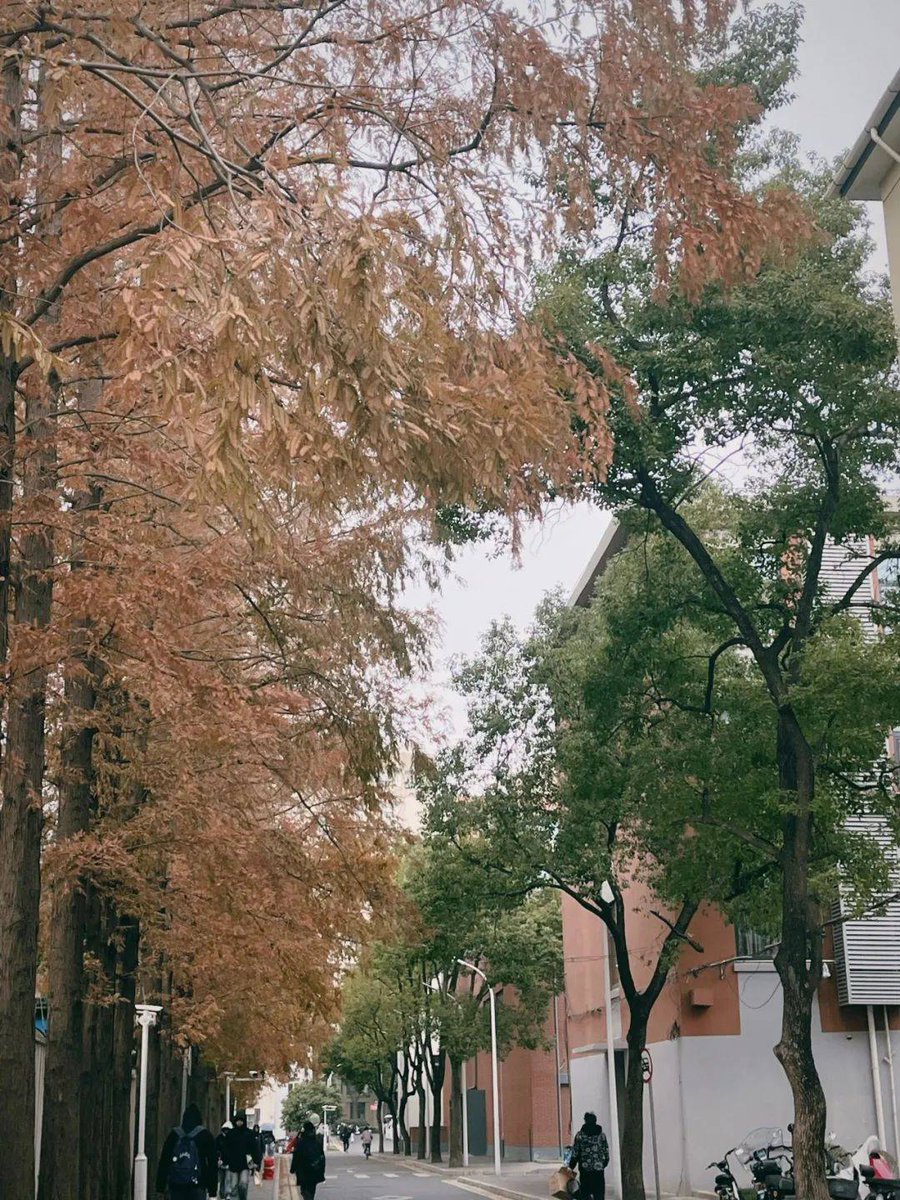 James Ross tweet media