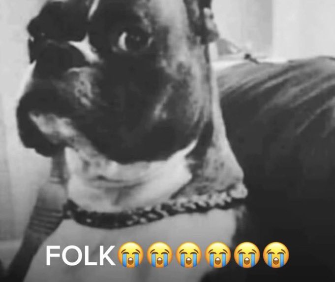 realknicker tweet media