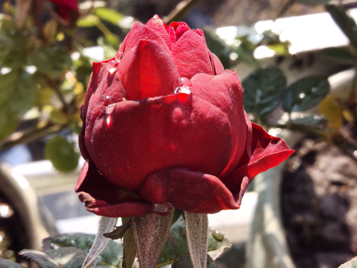 Charlie Wade tweet media