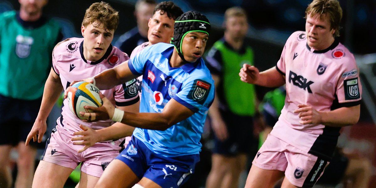 Springboks tweet media