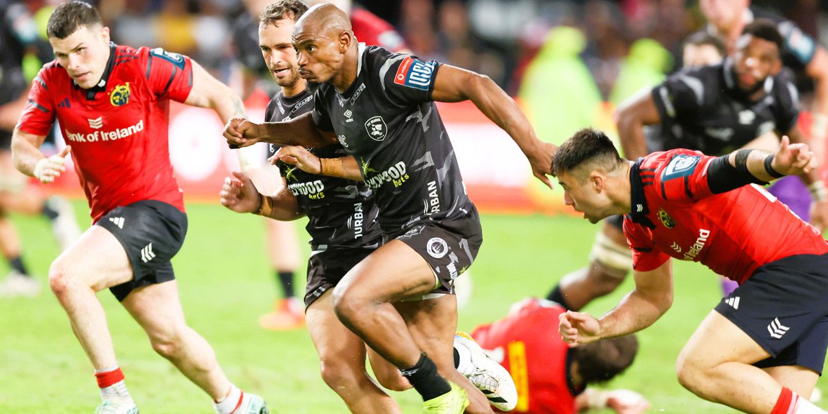 Springboks tweet media