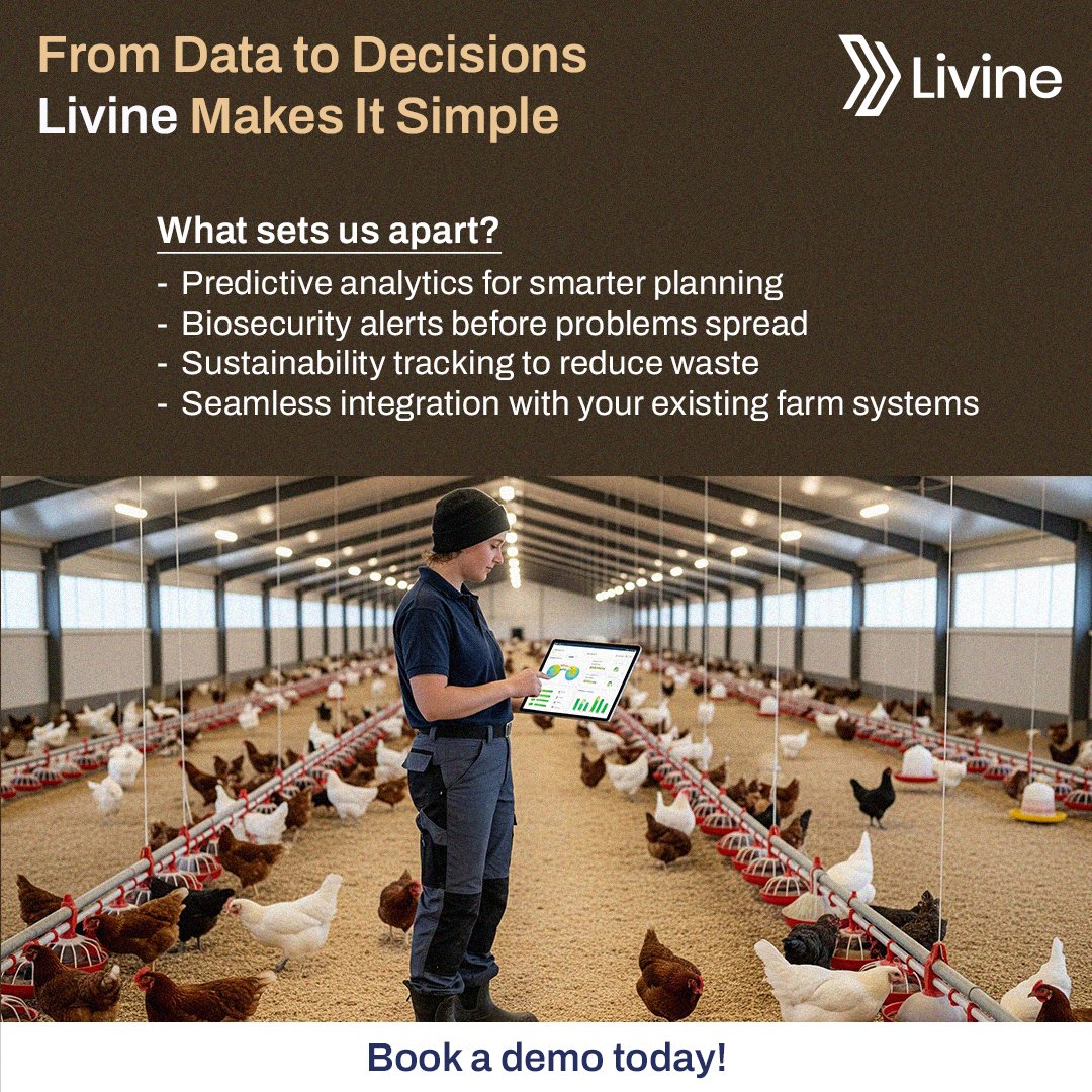 LivineSoftware's tweet photo. From data → decisions 

 Livine ERP = predictive analytics, biosecurity alerts &amp; sustainability tracking.

 Book a demo 👉 https://t.co/zTLoPkbxGO 

#AgriTech #Livine #poultrysoftware https://t.co/s48zwAFigC