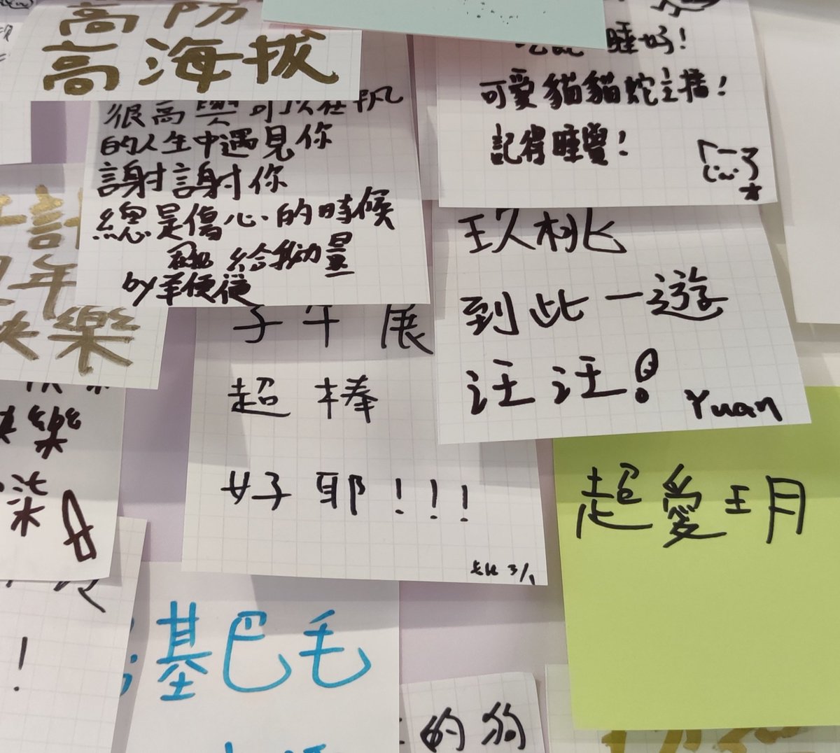 卡比 tweet media
