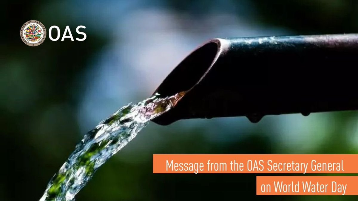 Albert R. Ramdin - OAS Secretary General tweet media