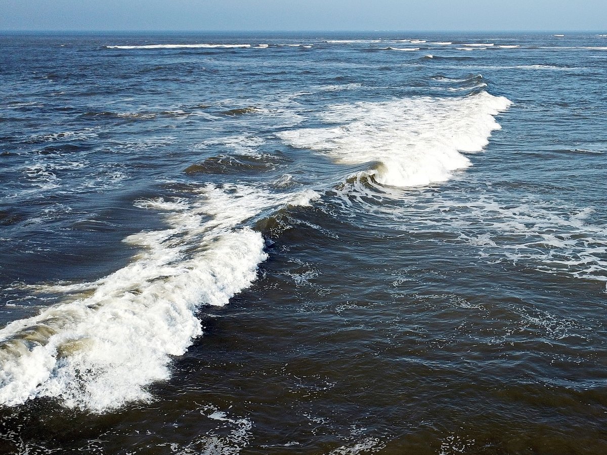 Gerrit Bart Volgers tweet media