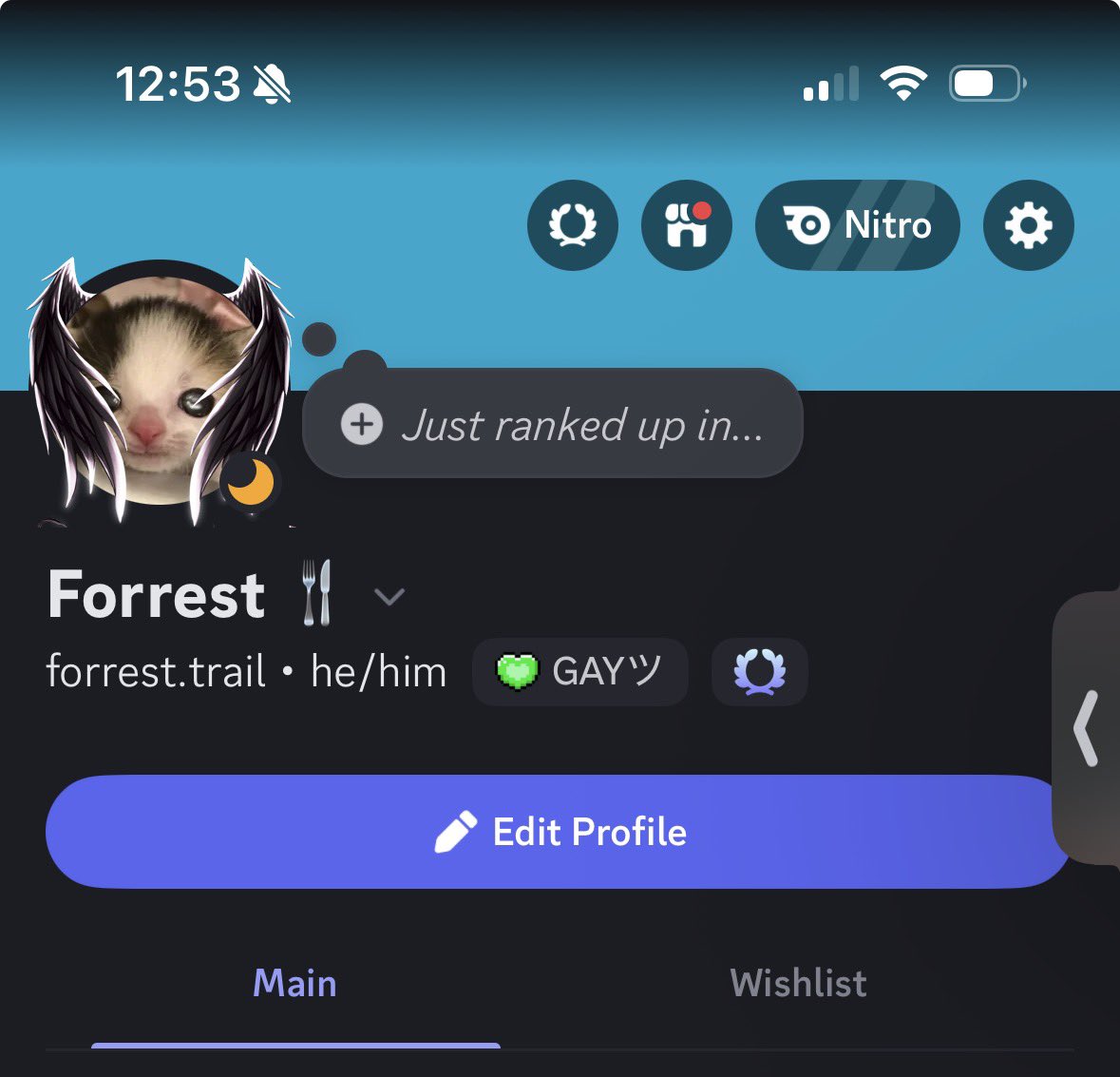 ๐๐๐จ๐ฃ๐๐๐๐ โ๐๐ฃ๐ฃ๐๐๐๐ฅ๐ ๐ ๐ช tweet media