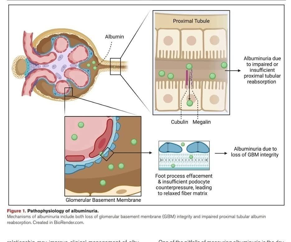 Sayed S Rahman tweet media