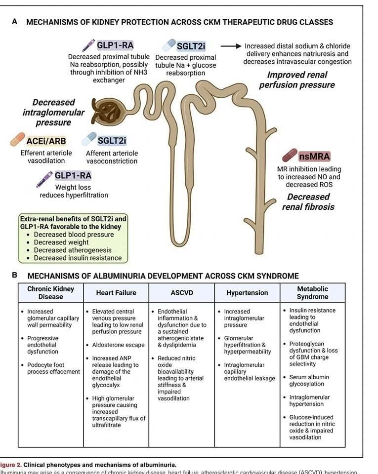 Sayed S Rahman tweet media