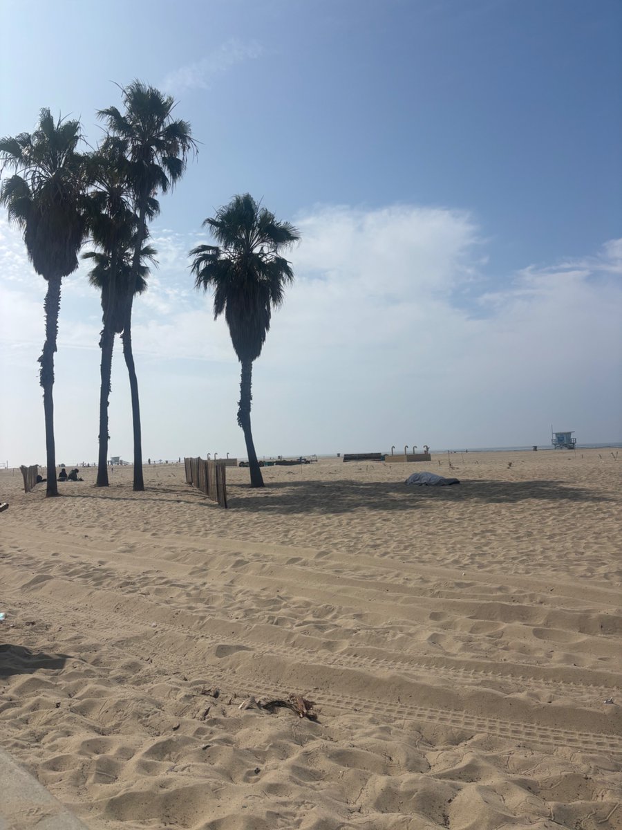 Danielle Radin tweet media